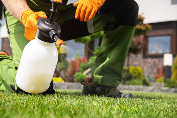 Reliable Homewood, SC Pest Control Solutions