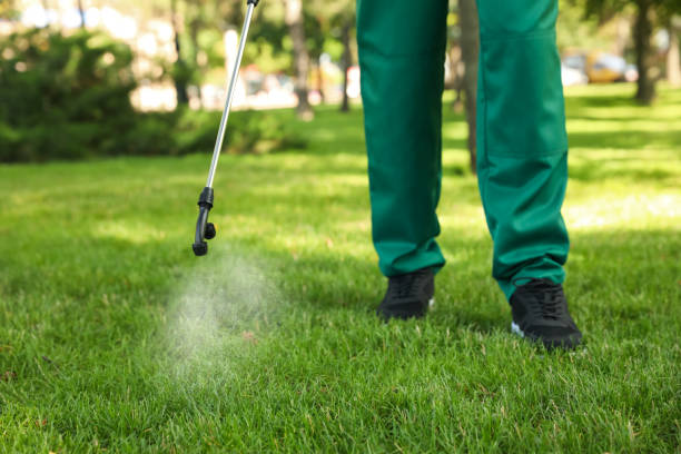 Best Best Pest Control Companies  in Homewood, SC