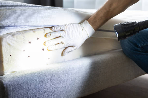 Best Pest Prevention Services  in Homewood, SC