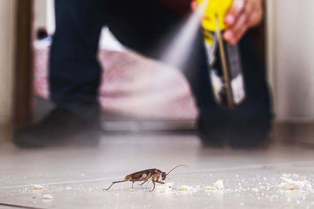 Best Local Pest Control Services  in Homewood, SC